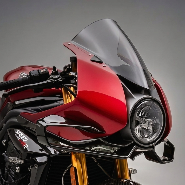 Triumph Speed Triple 1200RR (2022-2024) Winglet