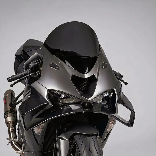 Winglet Kawasaki ZX6R (2024 - 2026)